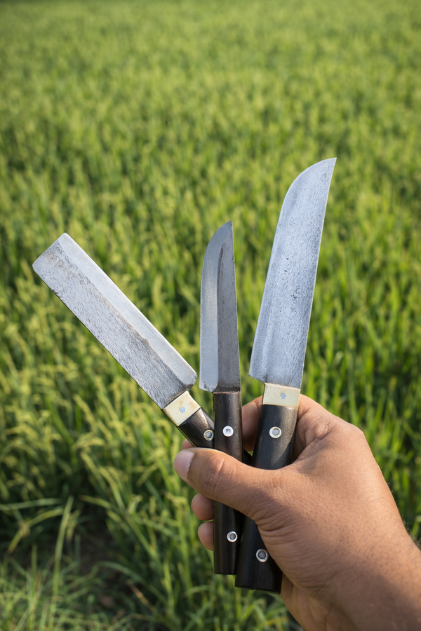 Kitchen knife